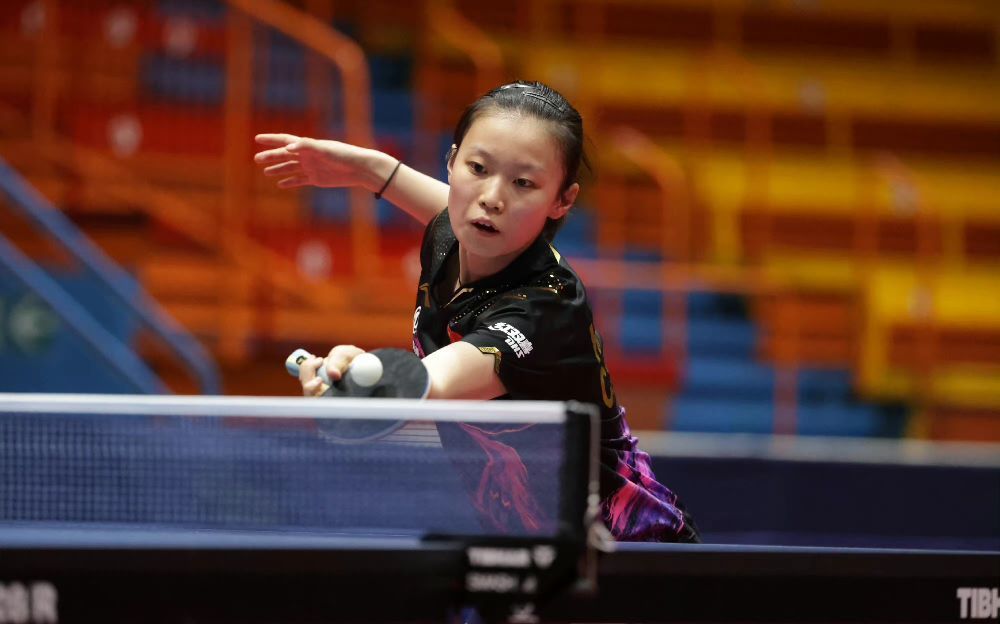 评分机制 评分机制